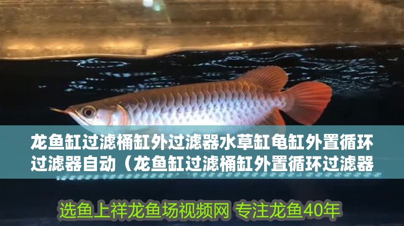 龍魚缸過濾桶缸外過濾器水草缸龜缸外置循環過濾器自動（龍魚缸過濾桶缸外置循環過濾器自動是一款專為水族愛好者設計的高效過濾系統）