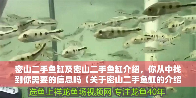 密山二手魚缸及密山二手魚缸介紹，你從中找到你需要的信息嗎（關于密山二手魚缸的介紹） 密山二手魚缸及密山二手魚缸介紹，你從中找到你需要的信息嗎（關于密山二手魚缸的介紹） 觀賞魚百科 第2張