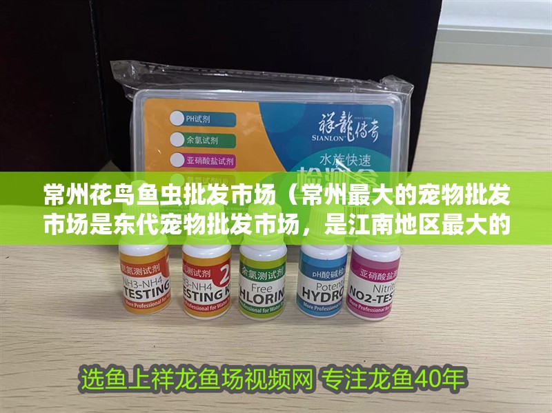 常州花鳥魚蟲批發(fā)市場（常州最大的寵物批發(fā)市場是東代寵物批發(fā)市場，是江南地區(qū)最大的一個）