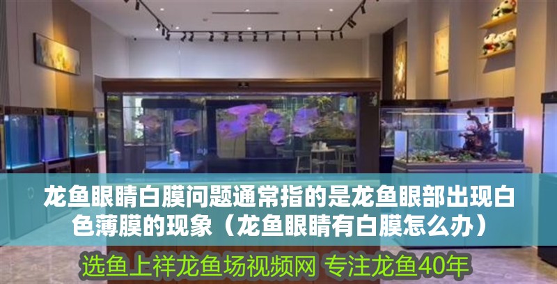 龍魚眼睛白膜問題通常指的是龍魚眼部出現白色薄膜的現象（龍魚眼睛有白膜怎么辦）