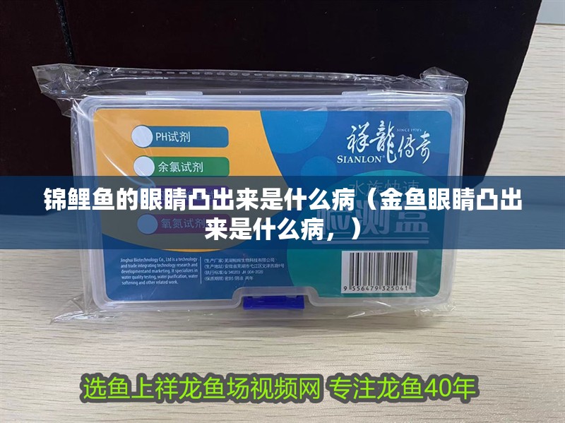 錦鯉魚的眼睛凸出來是什么?。ń痿~眼睛凸出來是什么病，）