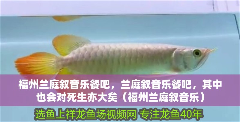 福州蘭庭敘音樂餐吧，蘭庭敘音樂餐吧，其中也會對死生亦大矣（福州蘭庭敘音樂）