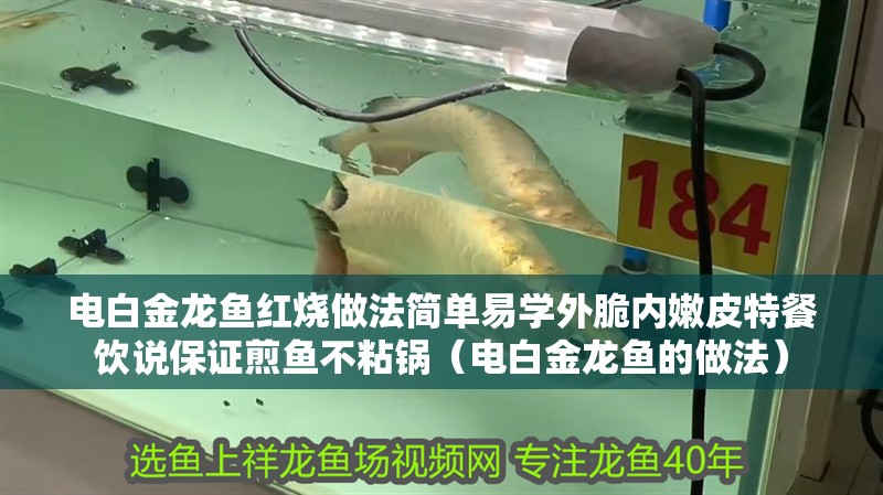 電白金龍魚紅燒做法簡單易學(xué)外脆內(nèi)嫩皮特餐飲說保證煎魚不粘鍋（電白金龍魚的做法） 電白金龍魚紅燒做法簡單易學(xué)外脆內(nèi)嫩皮特餐飲說保證煎魚不粘鍋（電白金龍魚的做法） 觀賞魚百科 第2張