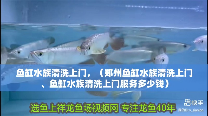 魚缸水族清洗上門，（鄭州魚缸水族清洗上門、魚缸水族清洗上門服務多少錢）
