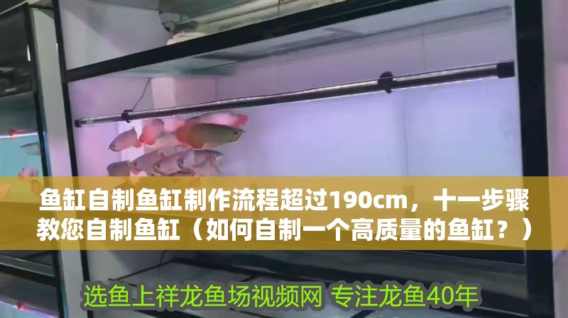魚缸自制魚缸制作流程超過190cm，十一步驟教您自制魚缸（如何自制一個(gè)高質(zhì)量的魚缸？）