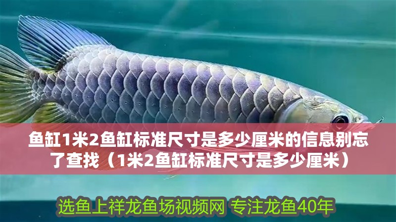 魚缸1米2魚缸標準尺寸是多少厘米的信息別忘了查找（1米2魚缸標準尺寸是多少厘米）