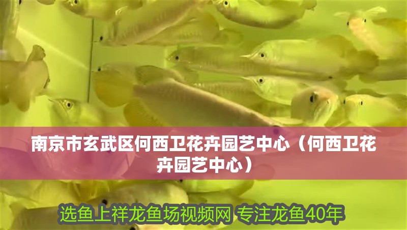 南京市<strong><mark>玄武</mark></strong>區何西衛花卉園藝中心（何西衛花卉園藝中心）