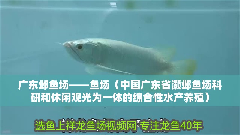 廣東鄴魚場——魚場（中國廣東省灝鄴魚場科研和休閑觀光為一體的綜合性水產(chǎn)養(yǎng)殖）