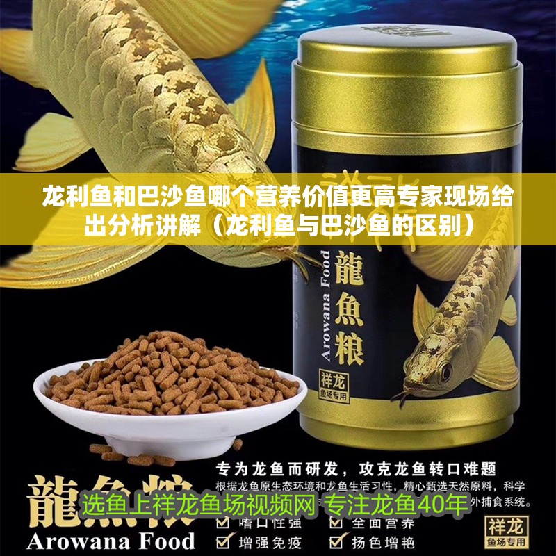 龍利魚和巴沙魚哪個營養(yǎng)價值更高專家現(xiàn)場給出分析講解（龍利魚與巴沙魚的區(qū)別）