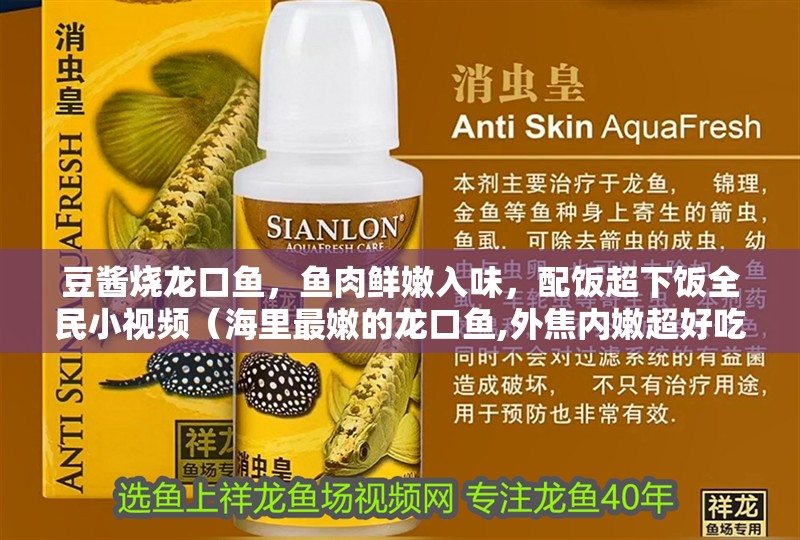 豆醬燒龍口魚，魚肉鮮嫩入味，配飯超下飯全民小視頻（海里最嫩的龍口魚,外焦內(nèi)嫩超好吃）