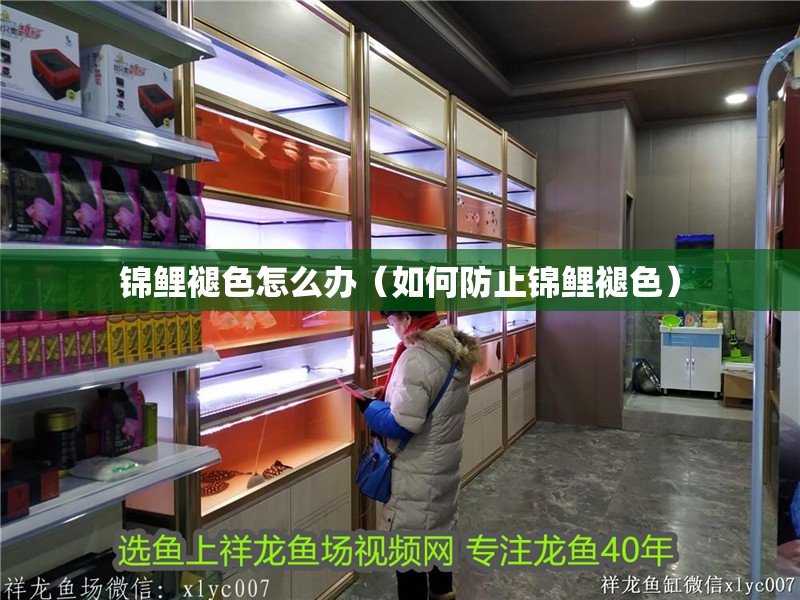 錦鯉褪色怎么辦（如何防止錦鯉褪色）