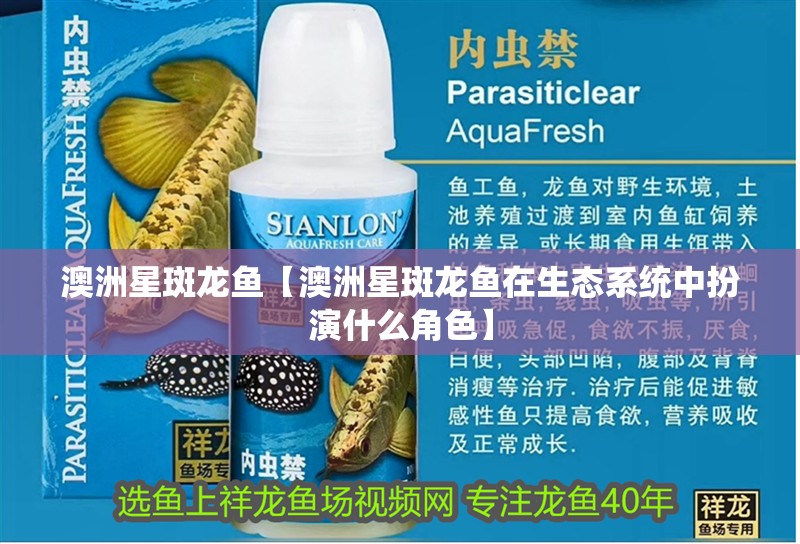 澳洲星斑龍魚【澳洲星斑龍魚在生態(tài)系統(tǒng)中扮演什么角色】