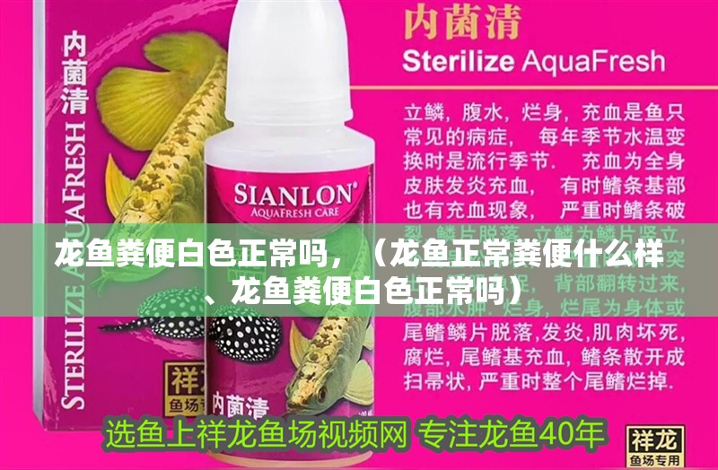 龍魚糞便白色正常嗎，（龍魚正常糞便什么樣、龍魚糞便白色正常嗎）