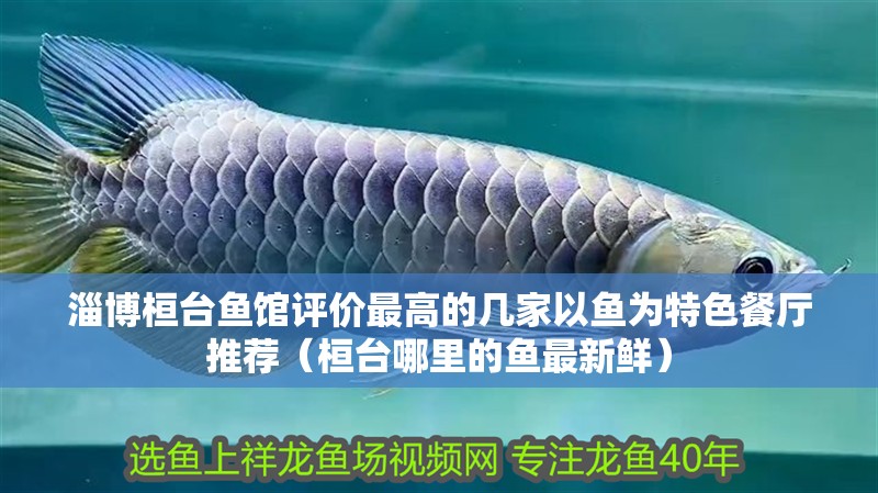 淄博桓臺魚館評價最高的幾家以魚為特色餐廳推薦（桓臺哪里的魚最新鮮）