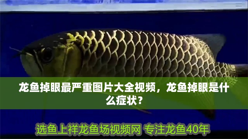 龍魚掉眼最嚴重圖片大全視頻，龍魚掉眼是什么癥狀？