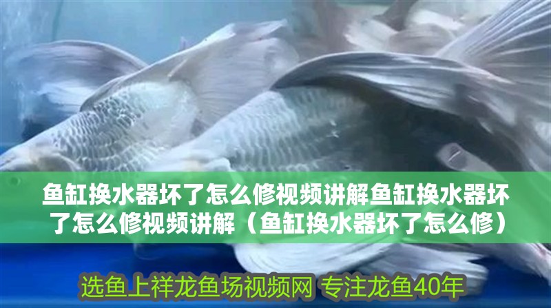 魚缸換水器壞了怎么修視頻講解魚缸換水器壞了怎么修視頻講解（魚缸換水器壞了怎么修）