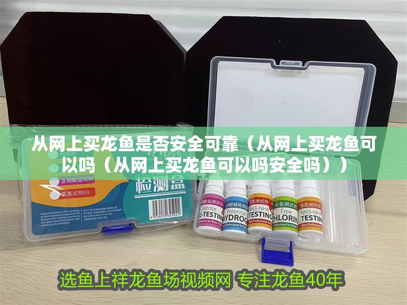 從網(wǎng)上買龍魚是否安全可靠（從網(wǎng)上買龍魚可以嗎（從網(wǎng)上買龍魚可以嗎安全嗎））