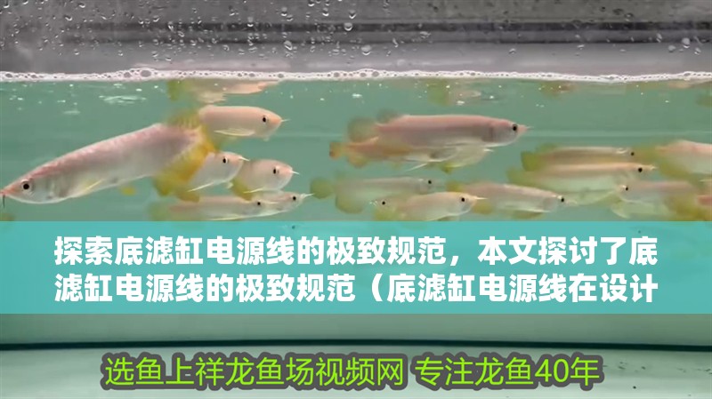 探索底濾缸電源線的極致規范，本文探討了底濾缸電源線的極致規范（底濾缸電源線在設計和制造過程中追求的高標準）