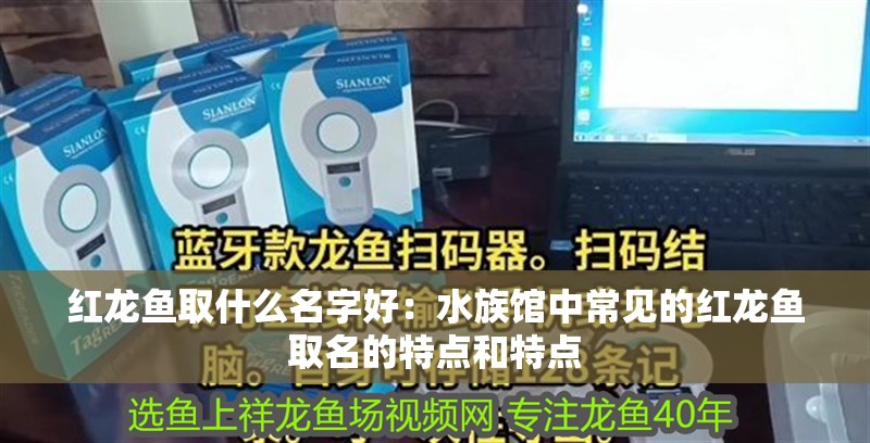紅龍魚取什么名字好：水族館中常見的紅龍魚取名的特點和特點