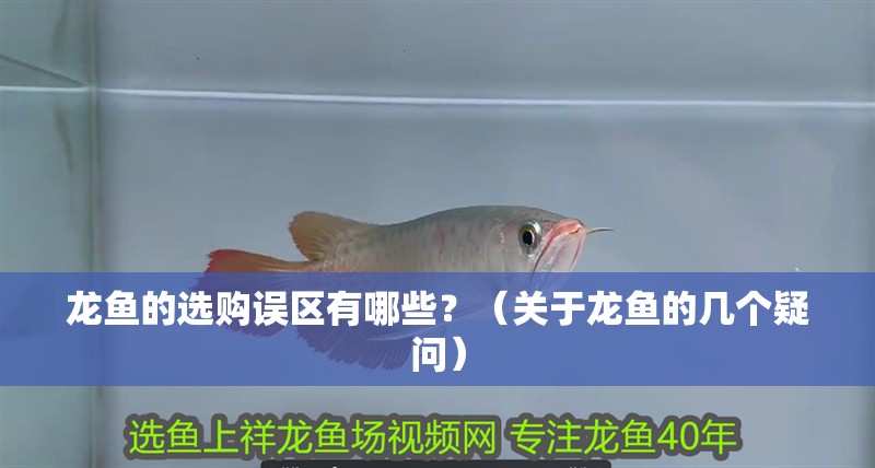 龍魚的選購誤區(qū)有哪些？（關(guān)于龍魚的幾個(gè)疑問） 龍魚的選購誤區(qū)有哪些？（關(guān)于龍魚的幾個(gè)疑問） 觀賞魚百科 第2張