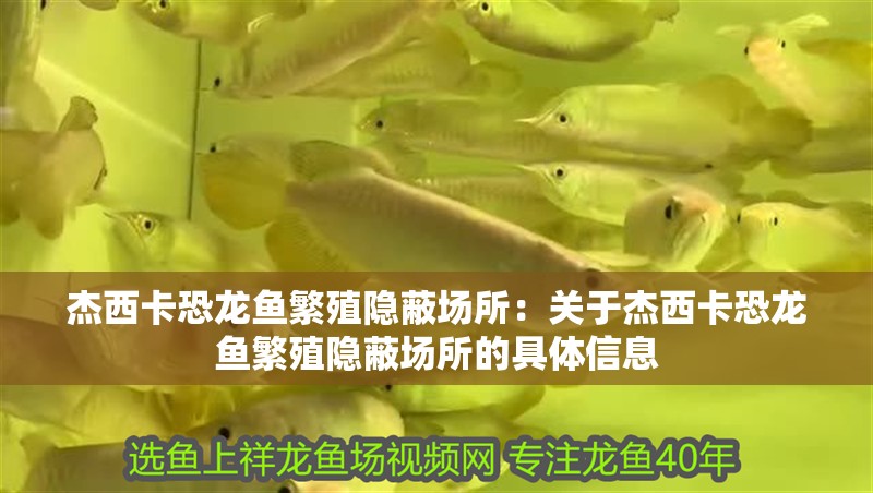 杰西卡恐龍魚繁殖隱蔽場所：關于杰西卡恐龍魚繁殖隱蔽場所的具體信息