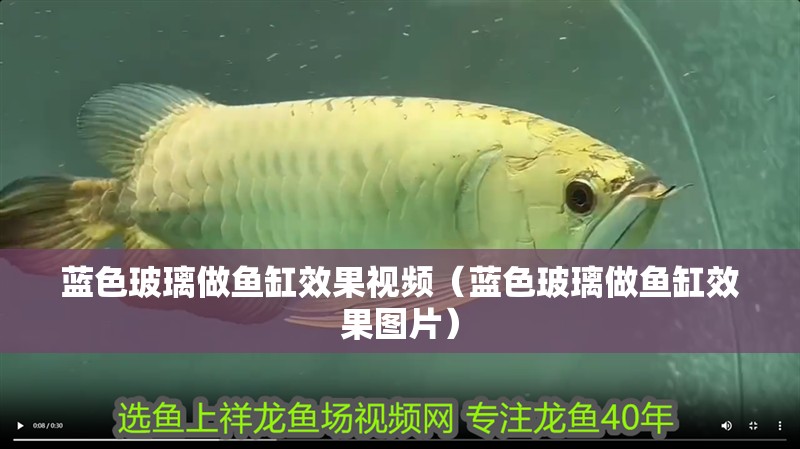 藍色玻璃做魚缸效果視頻（藍色玻璃做魚缸效果圖片）