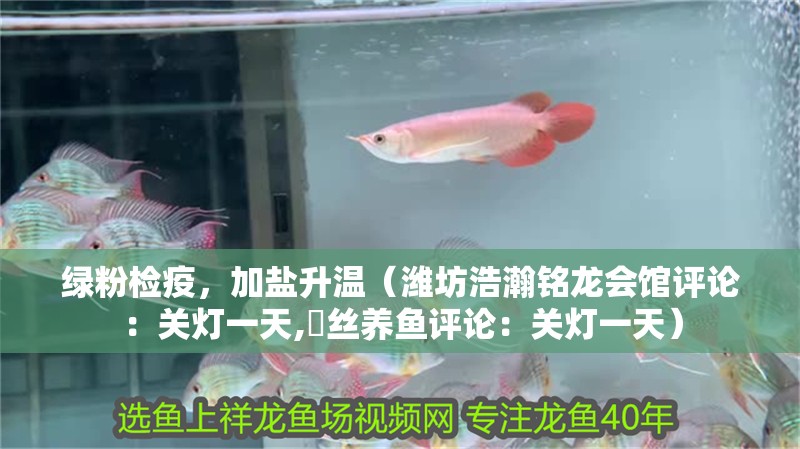 綠粉檢疫，加鹽升溫（濰坊浩瀚銘龍會館評論：關燈一天,屌絲養魚評論：關燈一天）