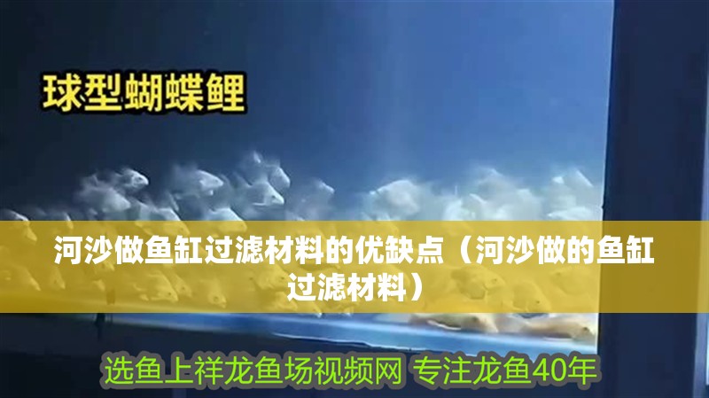 河沙做魚缸過濾材料的優缺點（河沙做的魚缸過濾材料） 河沙做魚缸過濾材料的優缺點（河沙做的魚缸過濾材料） 觀賞魚百科
