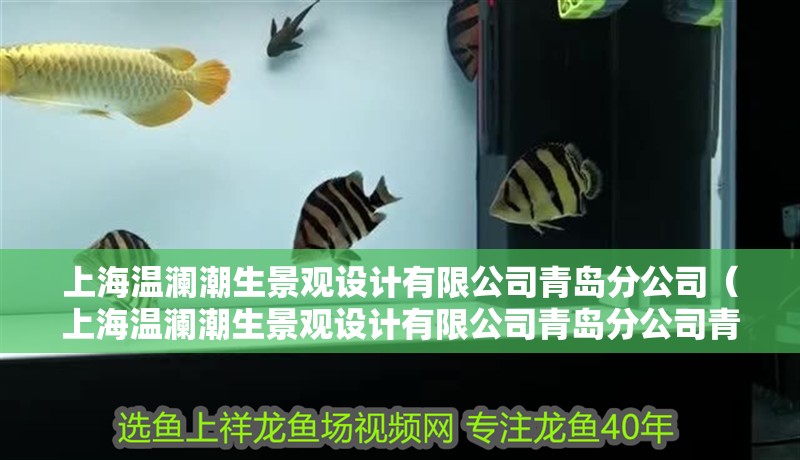 上海溫瀾潮生景觀設(shè)計(jì)有限公司青島分公司（上海溫瀾潮生景觀設(shè)計(jì)有限公司青島分公司青島分公司）