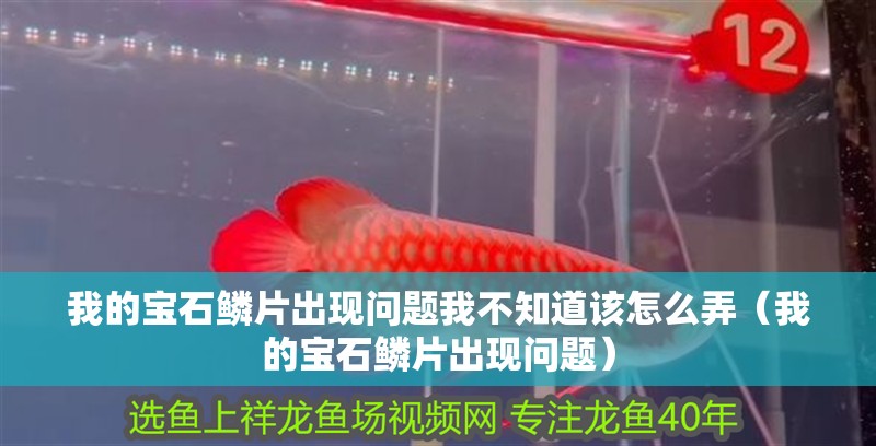 我的寶石鱗片出現問題我不知道該怎么弄（我的寶石鱗片出現問題）