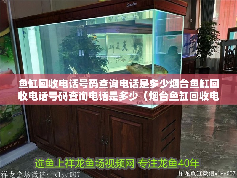 魚缸回收電話號碼查詢電話是多少煙臺魚缸回收電話號碼查詢電話是多少（煙臺魚缸回收電話號碼查詢電話是多少）