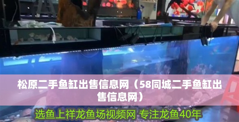 松原二手魚(yú)缸出售信息網(wǎng)（58同城二手魚(yú)缸出售信息網(wǎng)）