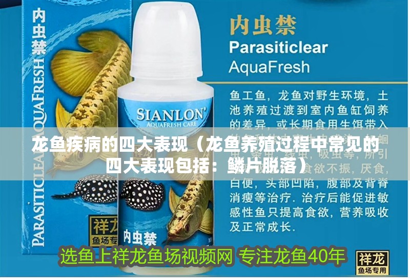 龍魚疾病的四大表現（龍魚養殖過程中常見的四大表現包括：鱗片脫落） 龍魚疾病的四大表現（龍魚養殖過程中常見的四大表現包括：鱗片脫落） 觀賞魚百科 第7張