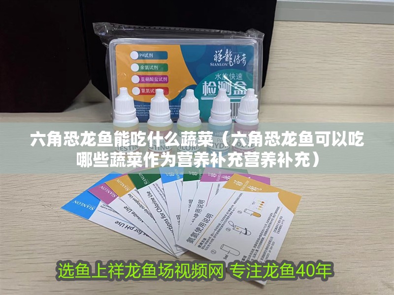 六角恐龍魚能吃什么蔬菜（六角恐龍魚可以吃哪些蔬菜作為營養補充營養補充）