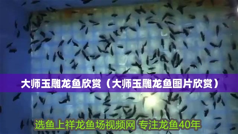 大師玉雕龍魚欣賞（大師玉雕龍魚圖片欣賞）