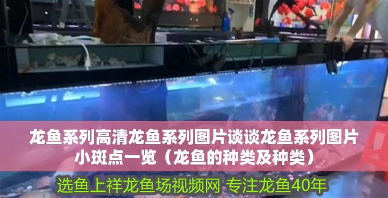 龍魚系列高清龍魚系列圖片談談龍魚系列圖片小斑點一覽（龍魚的種類及種類） 龍魚系列高清龍魚系列圖片談談龍魚系列圖片小斑點一覽（龍魚的種類及種類） 觀賞魚百科