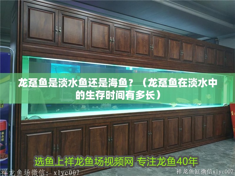 龍躉魚是淡水魚還是海魚？（龍躉魚在淡水中的生存時間有多長）