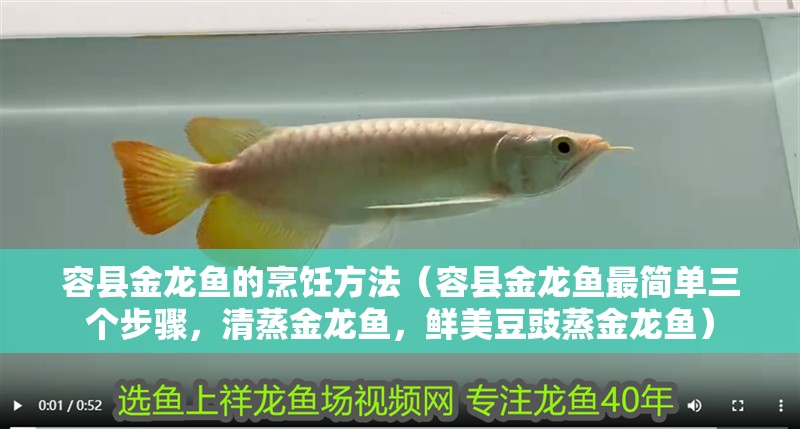 容縣金龍魚(yú)的烹飪方法（容縣金龍魚(yú)最簡(jiǎn)單三個(gè)步驟，清蒸金龍魚(yú)，鮮美豆豉蒸金龍魚(yú)）