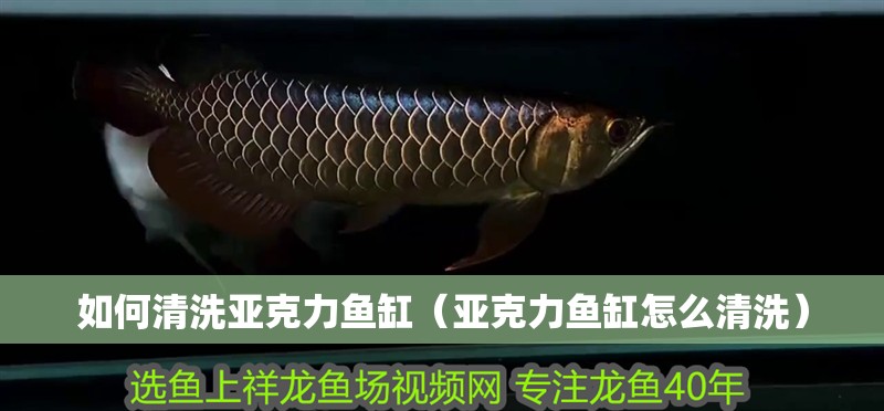 如何清洗亞克力魚缸（亞克力魚缸怎么清洗） 如何清洗亞克力魚缸（亞克力魚缸怎么清洗） 觀賞魚百科