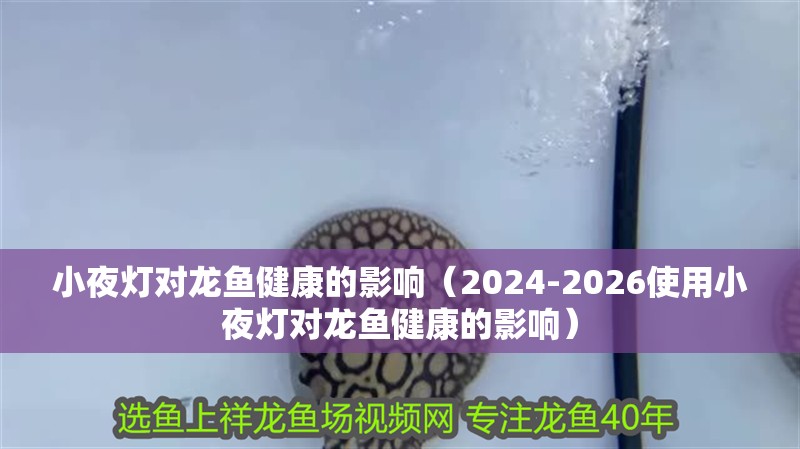 小夜燈對(duì)龍魚健康的影響（2024-2026使用小夜燈對(duì)龍魚健康的影響） 小夜燈對(duì)龍魚健康的影響（2024-2026使用小夜燈對(duì)龍魚健康的影響） 觀賞魚百科 第3張