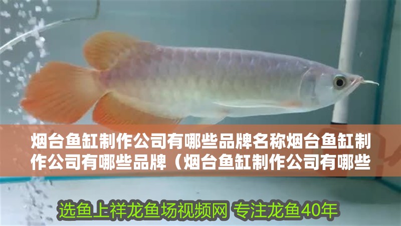 煙臺(tái)魚缸制作公司有哪些品牌名稱煙臺(tái)魚缸制作公司有哪些品牌（煙臺(tái)魚缸制作公司有哪些品牌）