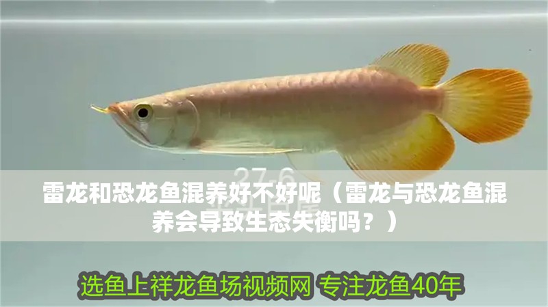 雷龍和恐龍魚混養好不好呢（雷龍與恐龍魚混養會導致生態失衡嗎？）