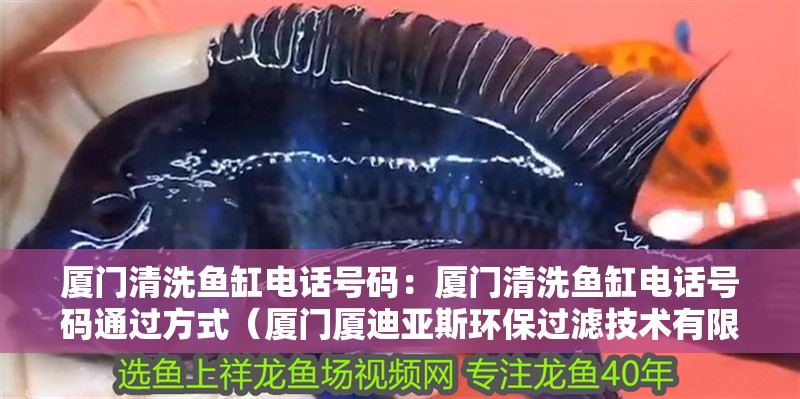 廈門清洗魚缸電話號碼：廈門清洗魚缸電話號碼通過方式（廈門廈迪亞斯環保過濾技術有限公司清洗魚缸電話號碼多少）