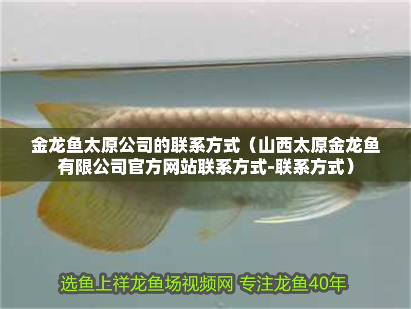 金龍魚太原公司的聯系方式（山西太原金龍魚有限公司官方網站聯系方式-聯系方式）