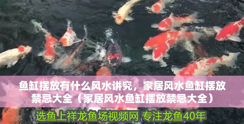 魚缸擺放有什么風(fēng)水講究，家居風(fēng)水魚缸擺放禁忌大全（家居風(fēng)水魚缸擺放禁忌大全）