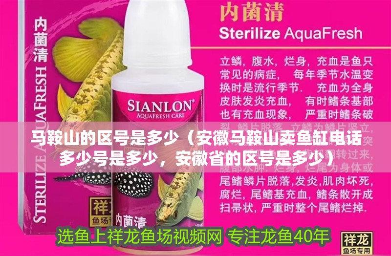 馬鞍山的區(qū)號(hào)是多少(安徽馬鞍山賣魚(yú)缸電話多少號(hào)是多少,安徽省的區(qū)號(hào)是多少) 觀賞魚(yú)百科 第4張 馬鞍山的區(qū)號(hào)是多少(安徽馬鞍山賣魚(yú)缸電話多少號(hào)是多少,安徽省的區(qū)號(hào)是多少) 馬鞍山的區(qū)號(hào)是多少(安徽馬鞍山賣魚(yú)缸電話多少號(hào)是多少,安徽省的區(qū)號(hào)是多少) 觀賞魚(yú)百科 第4張
