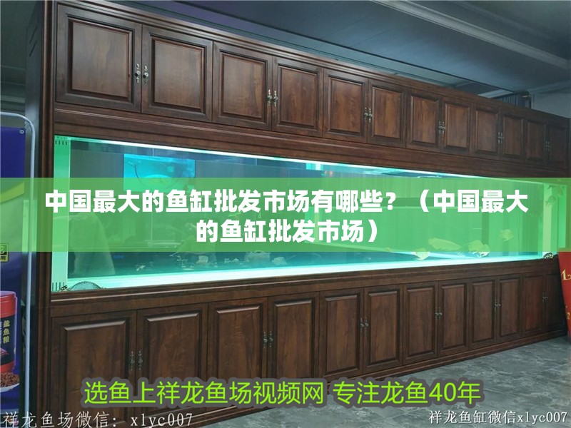 中國最大的魚缸批發(fā)市場有哪些？（中國最大的魚缸批發(fā)市場）