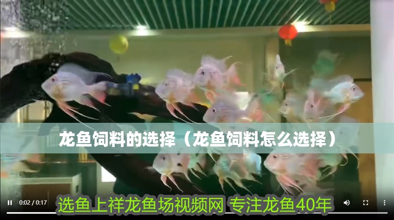 龍魚飼料的選擇（龍魚飼料怎么選擇）