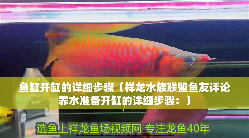 魚缸開缸的詳細步驟（祥龍水族聯(lián)盟魚友評論養(yǎng)水準(zhǔn)備開缸的詳細步驟：）