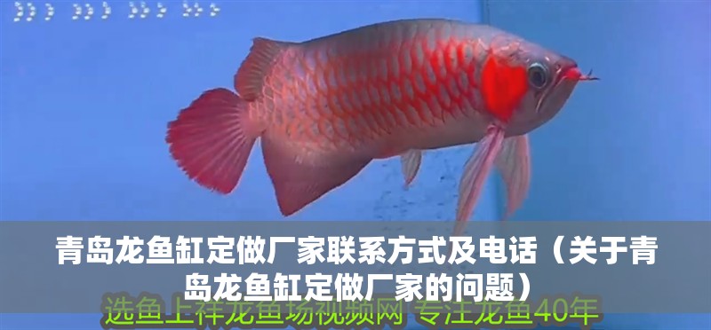 青島龍魚缸定做廠家聯(lián)系方式及電話（關于青島龍魚缸定做廠家的問題）